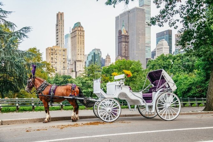 Nueva York pondría fin a la emblemática figura de carruajes tirados por caballos del Central Park 